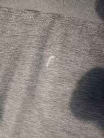 suspicious sofa stains