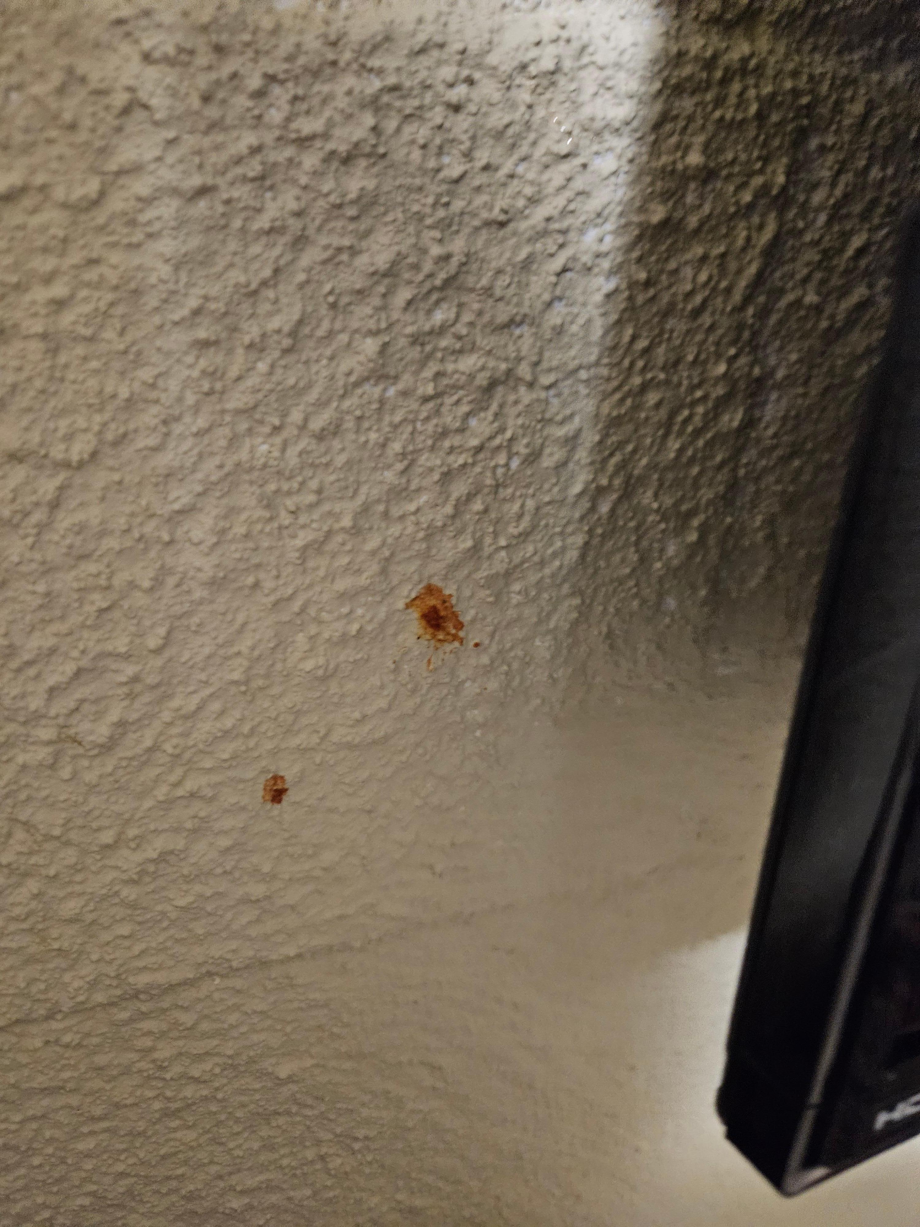 One of the many spaghetti sauce spots on wall.