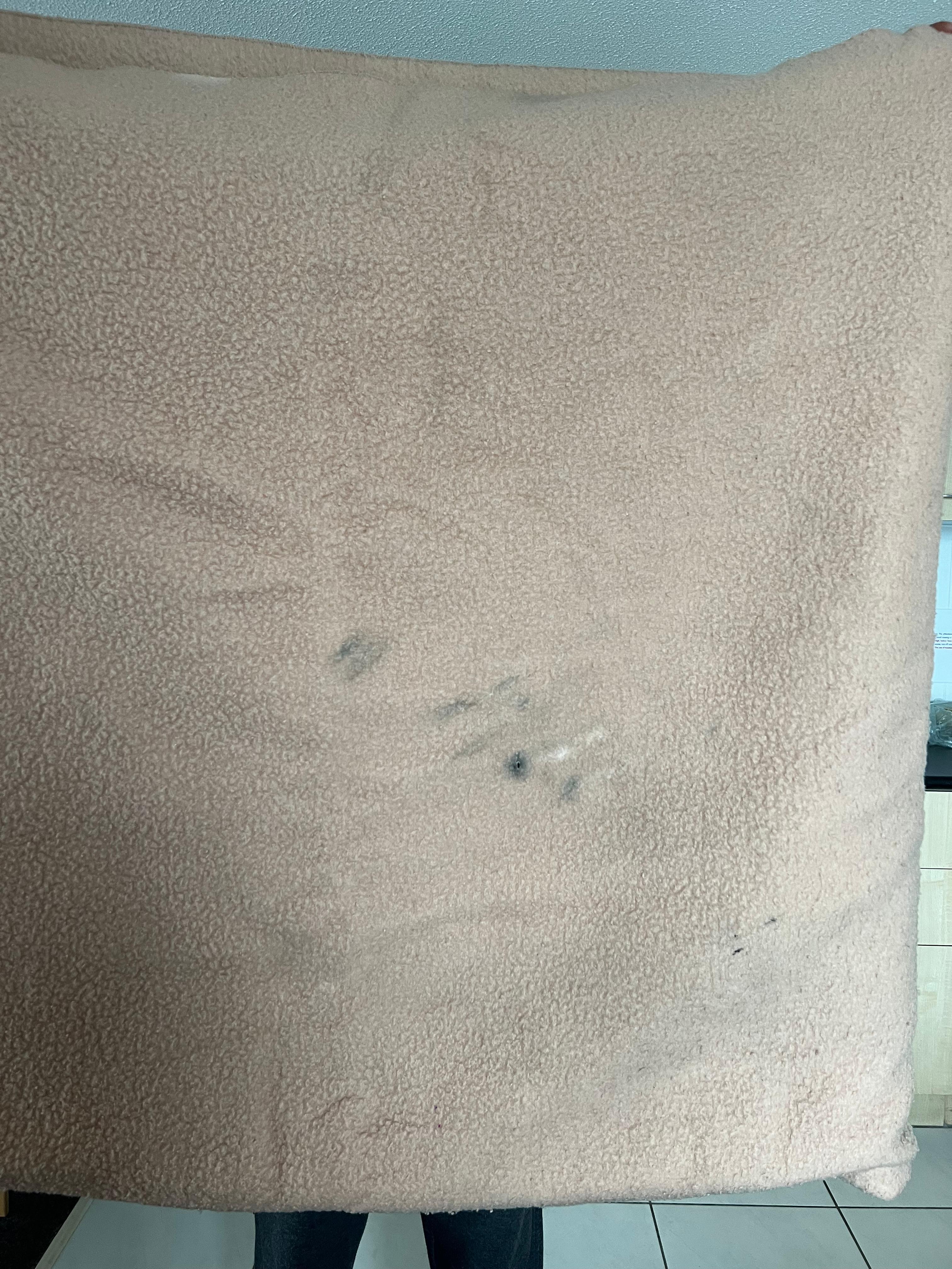 Bed blanket 
