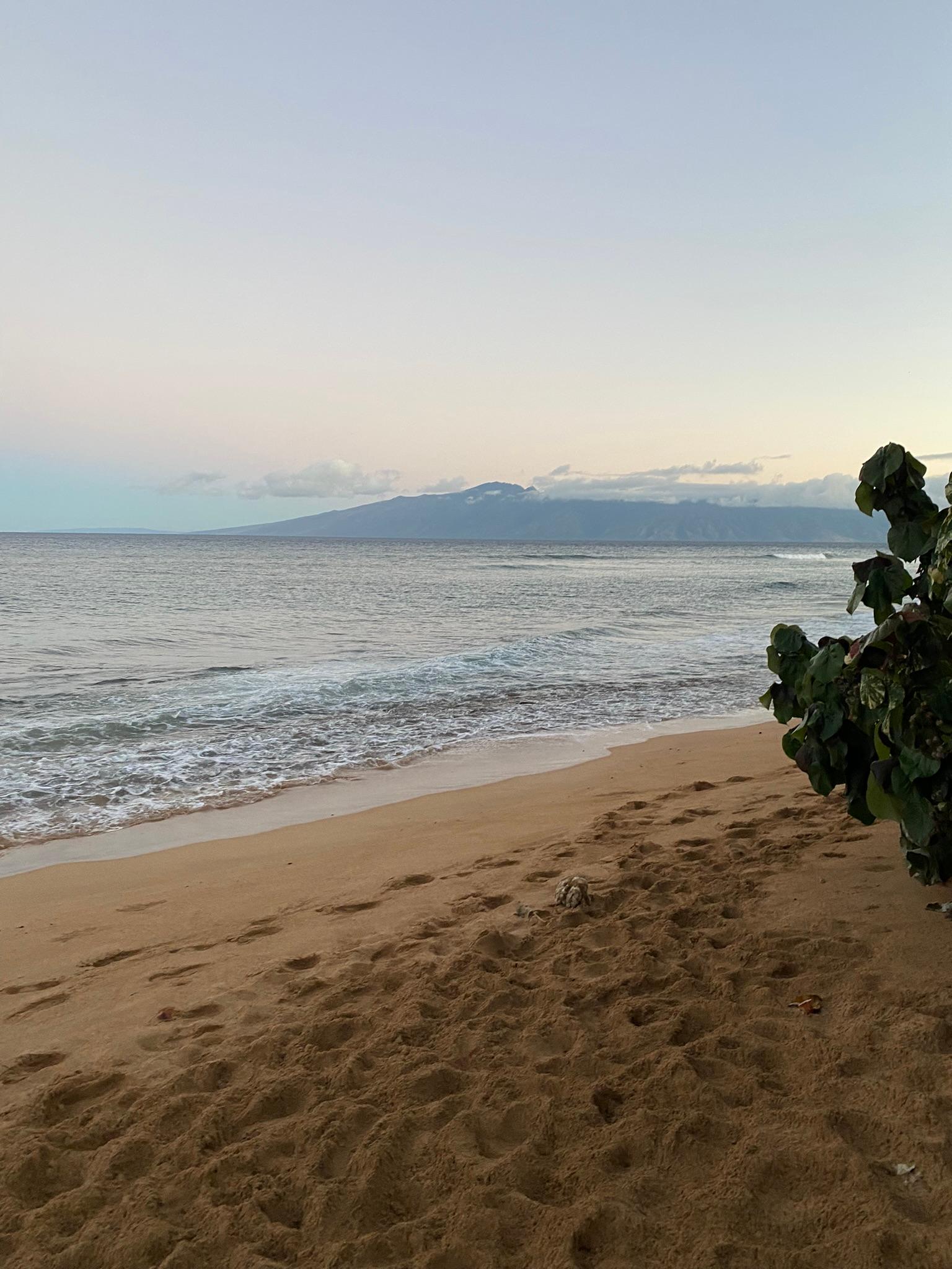 Book Honua Kai Resort & Spa in Lahaina | Hotels.com