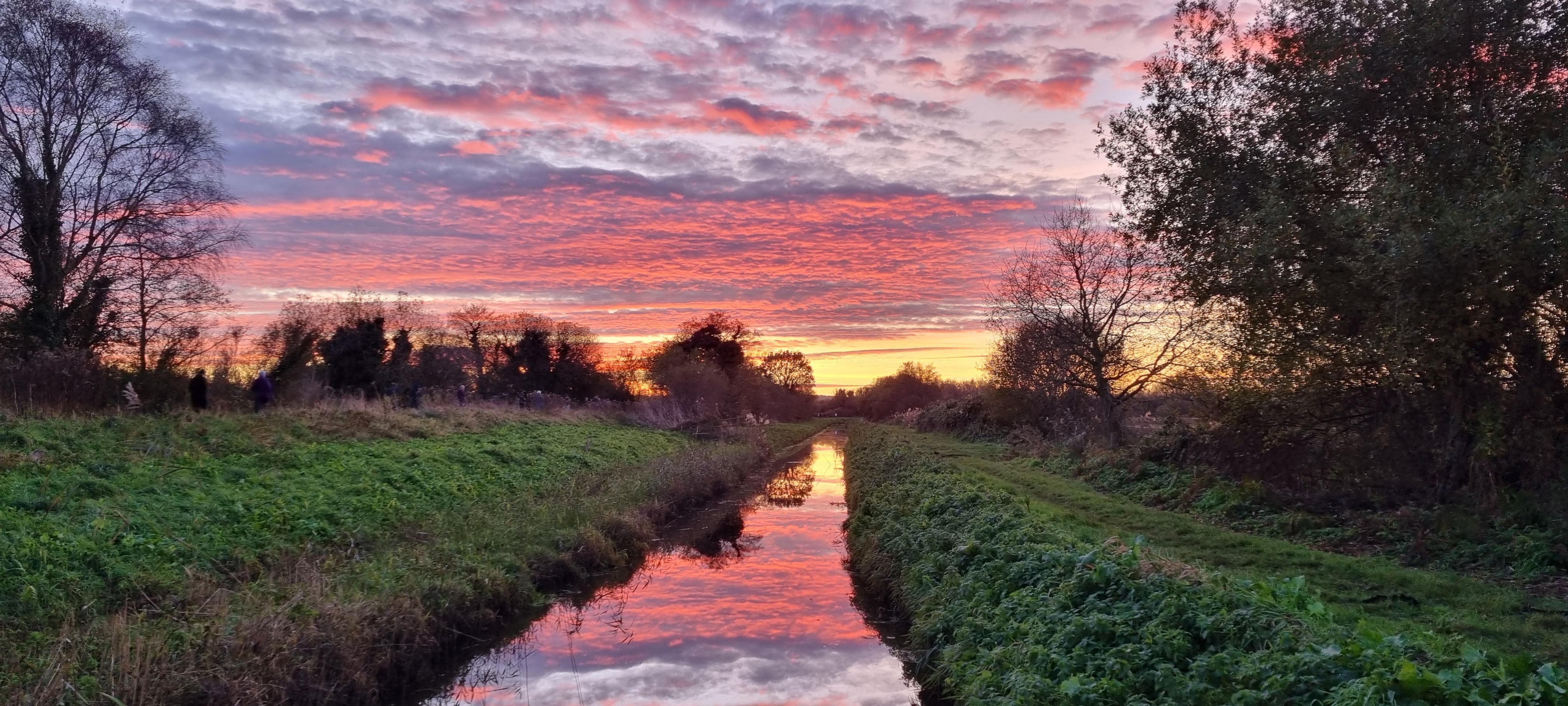 RSPB Ham Wall