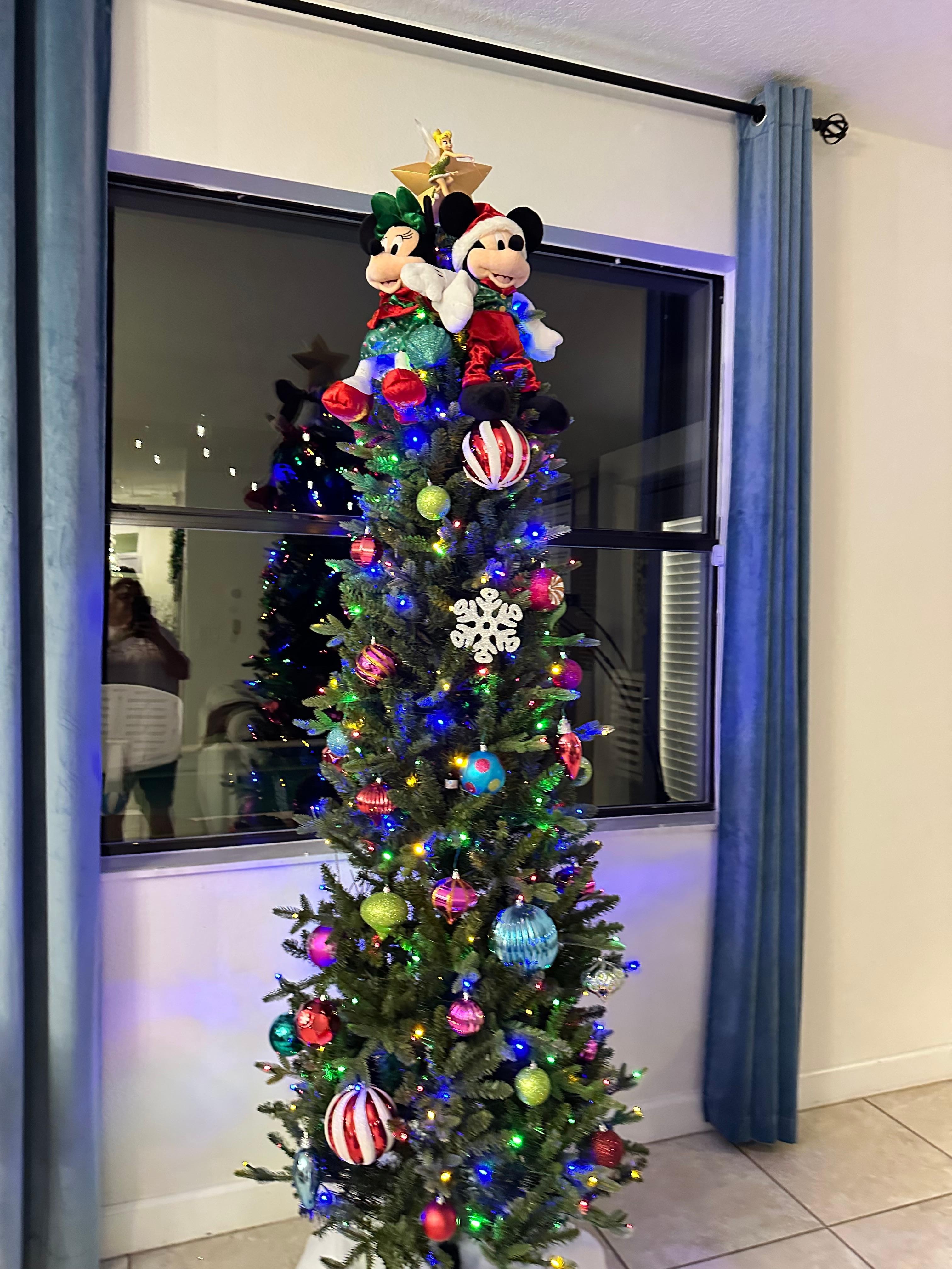 Beautifully decorated for Christmas 