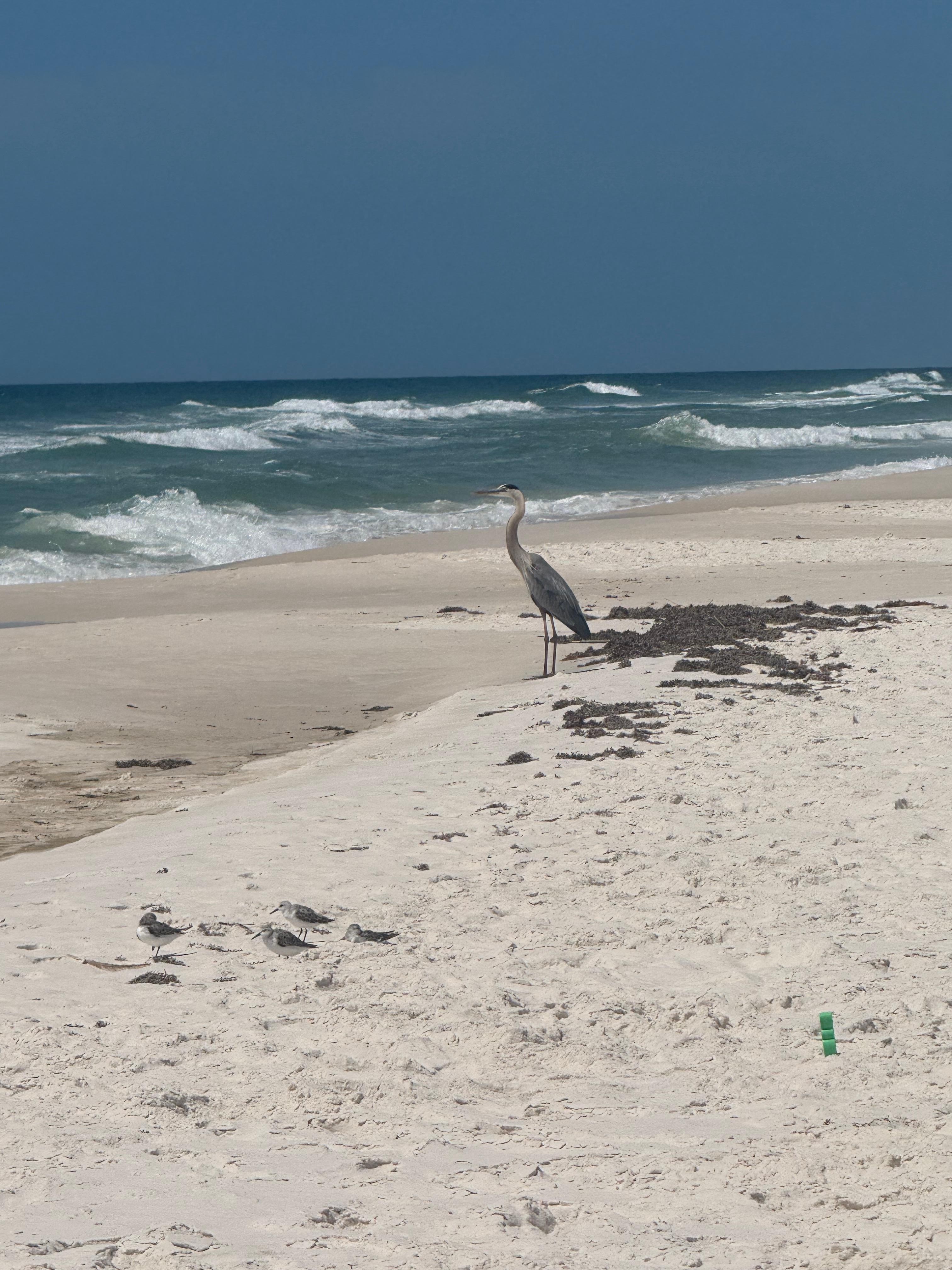 Friend at the beach 
