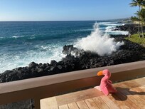 Flow taking in the view from the lanai.