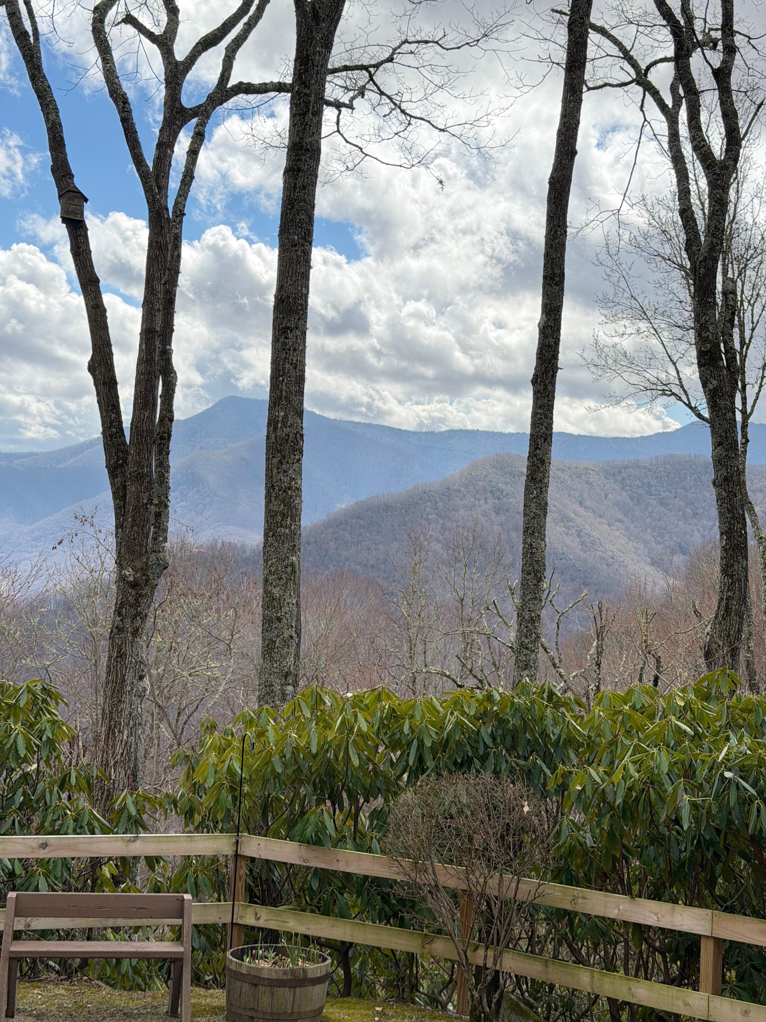From the porch midday 