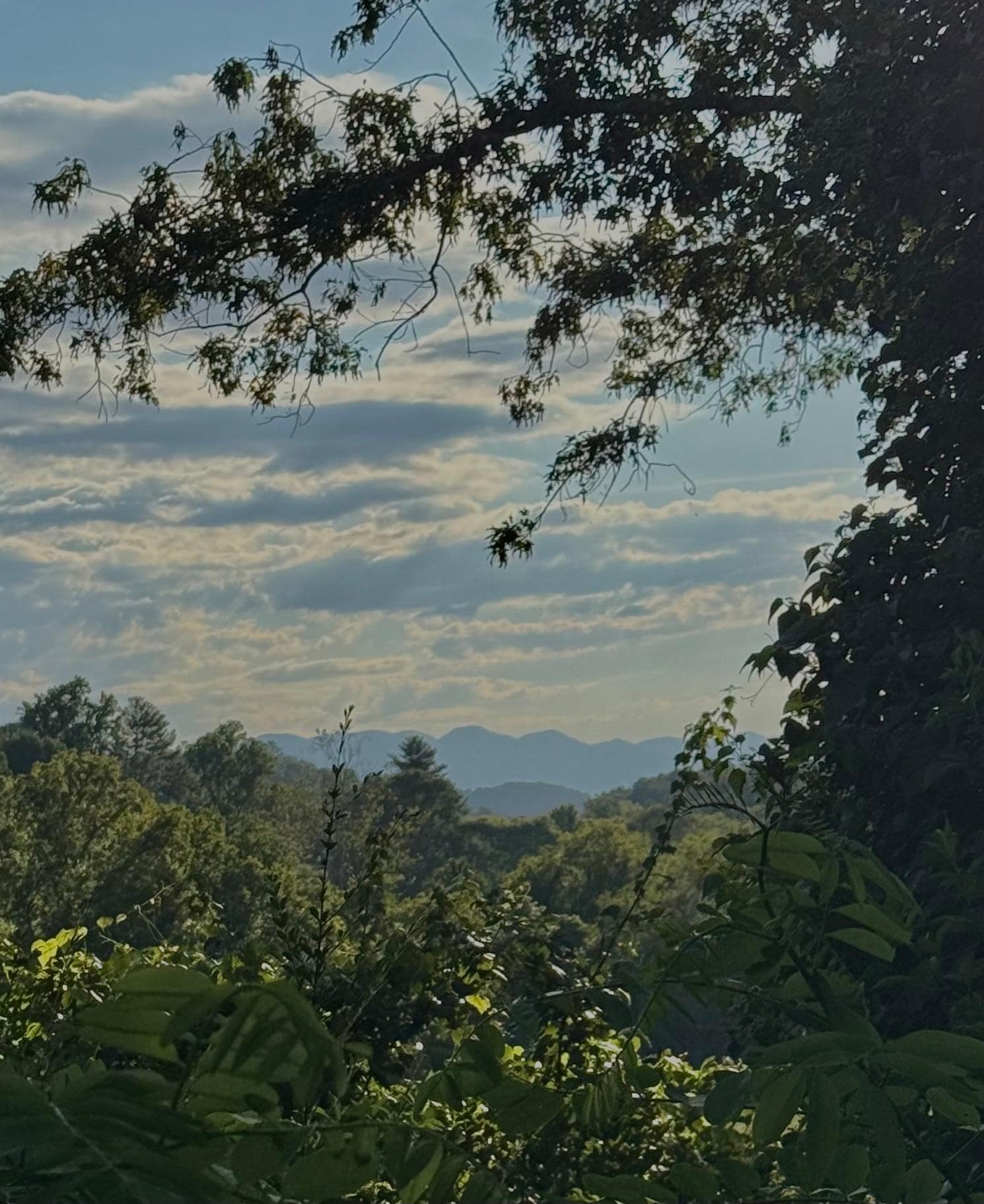 A view that never gets old