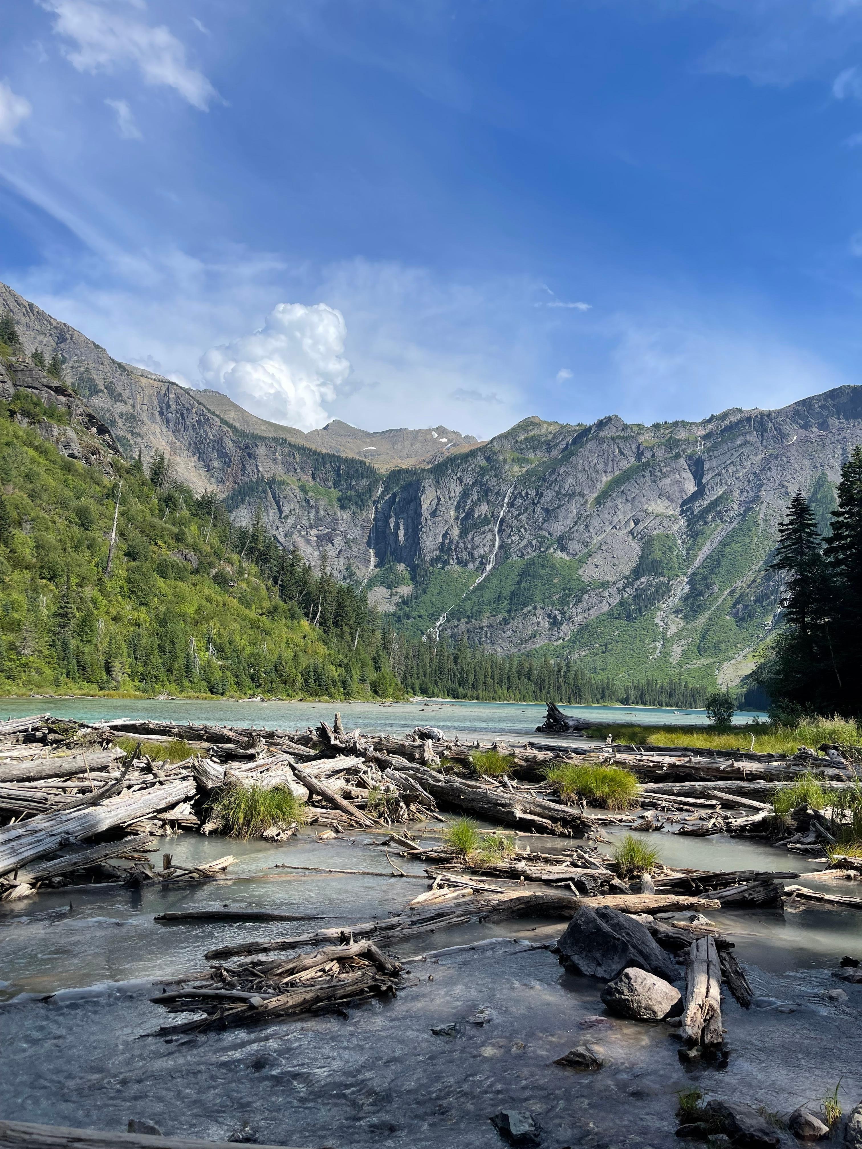 Avalanche lake hike