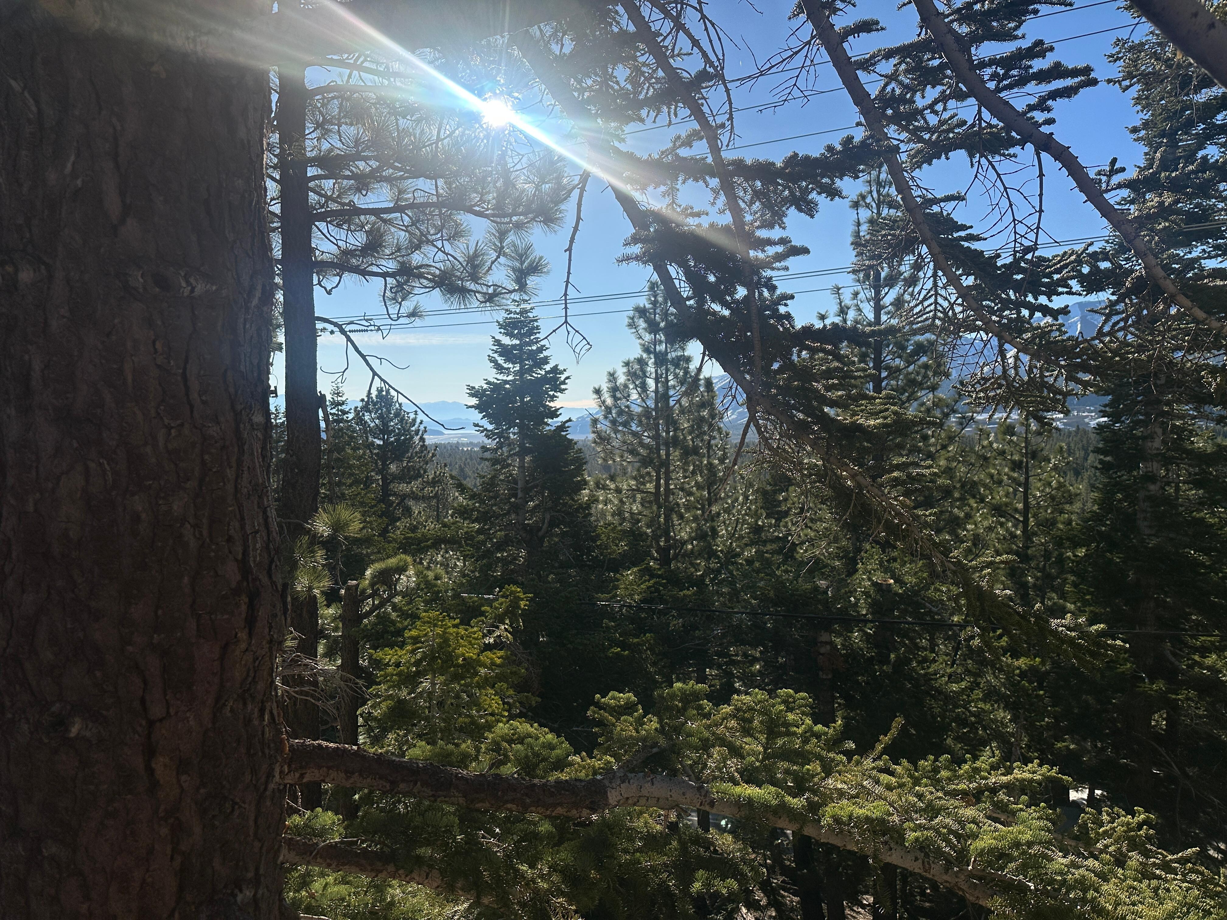 morning balcony view