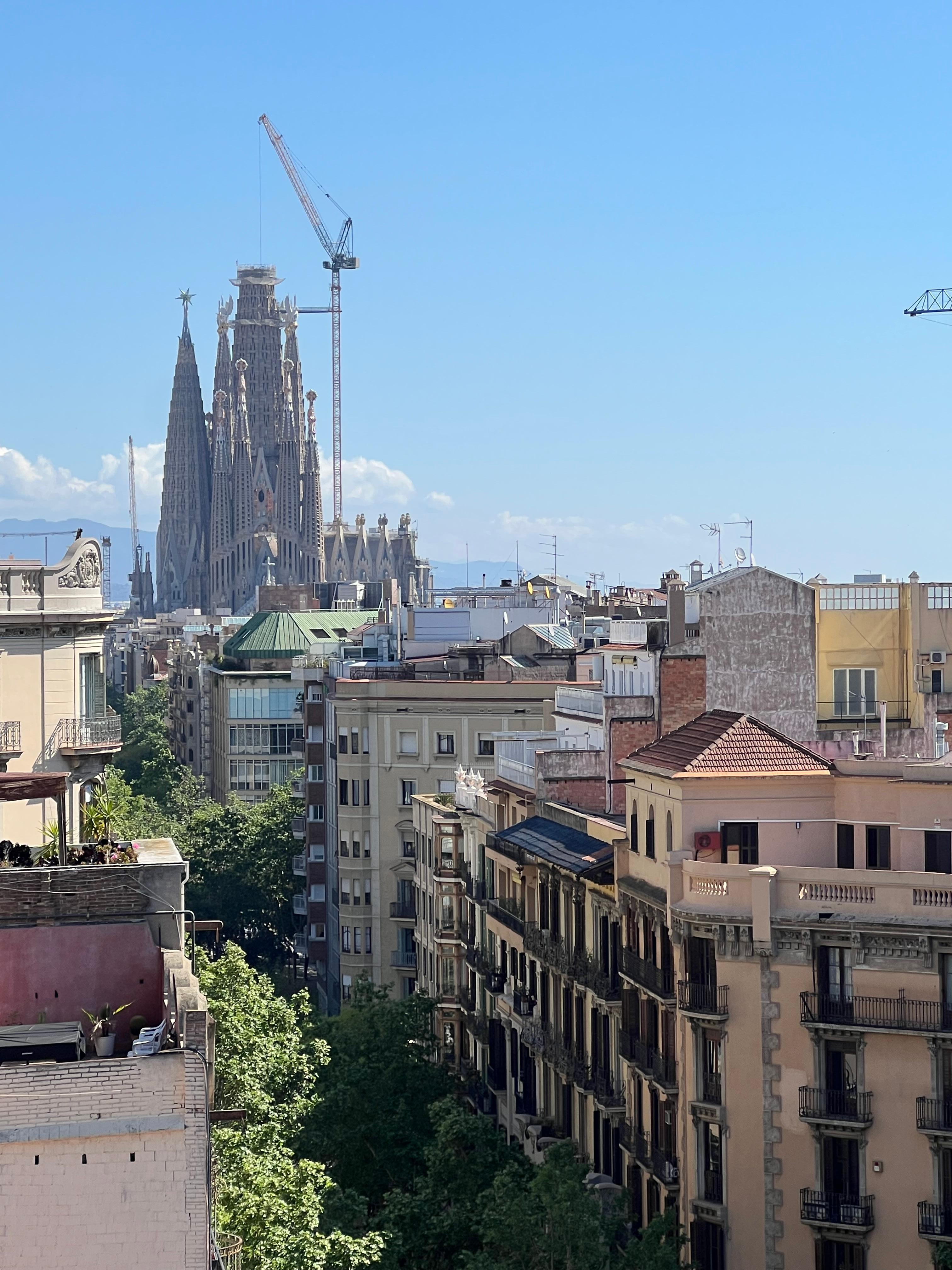 View from the roof