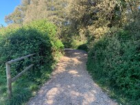 Walk through forest from the beach