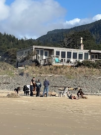 Beach fire with family