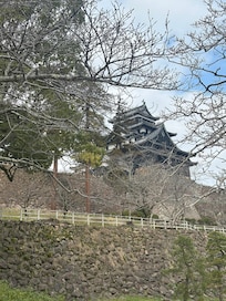 Matsue castle