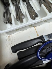 Wouldn't use utensils or plates