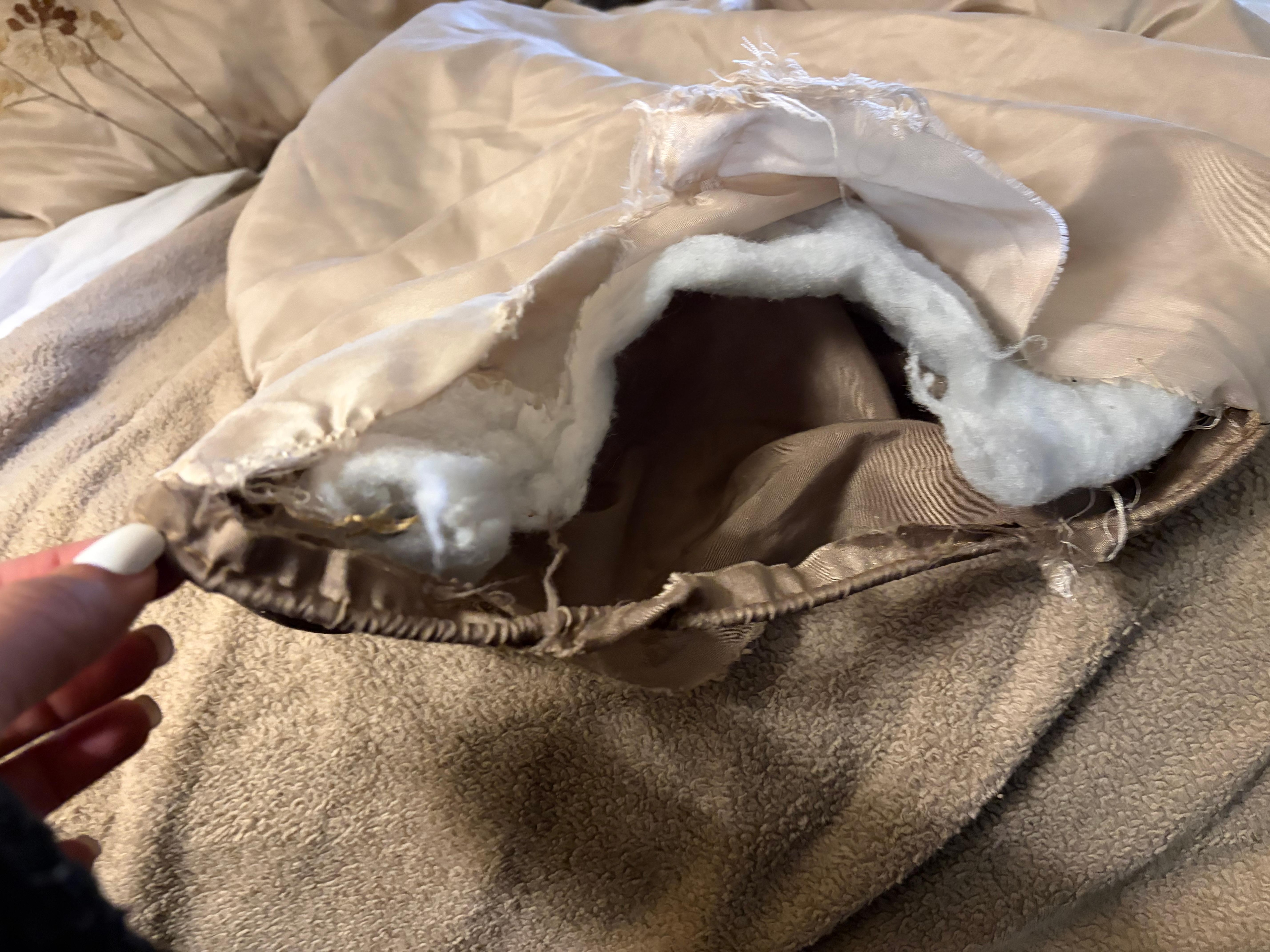 Covers from the master bedroom . Torn apart. 