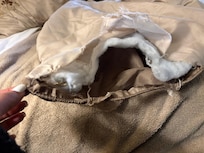 Covers from the master bedroom . Torn apart.