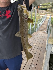 Fishing off the dock