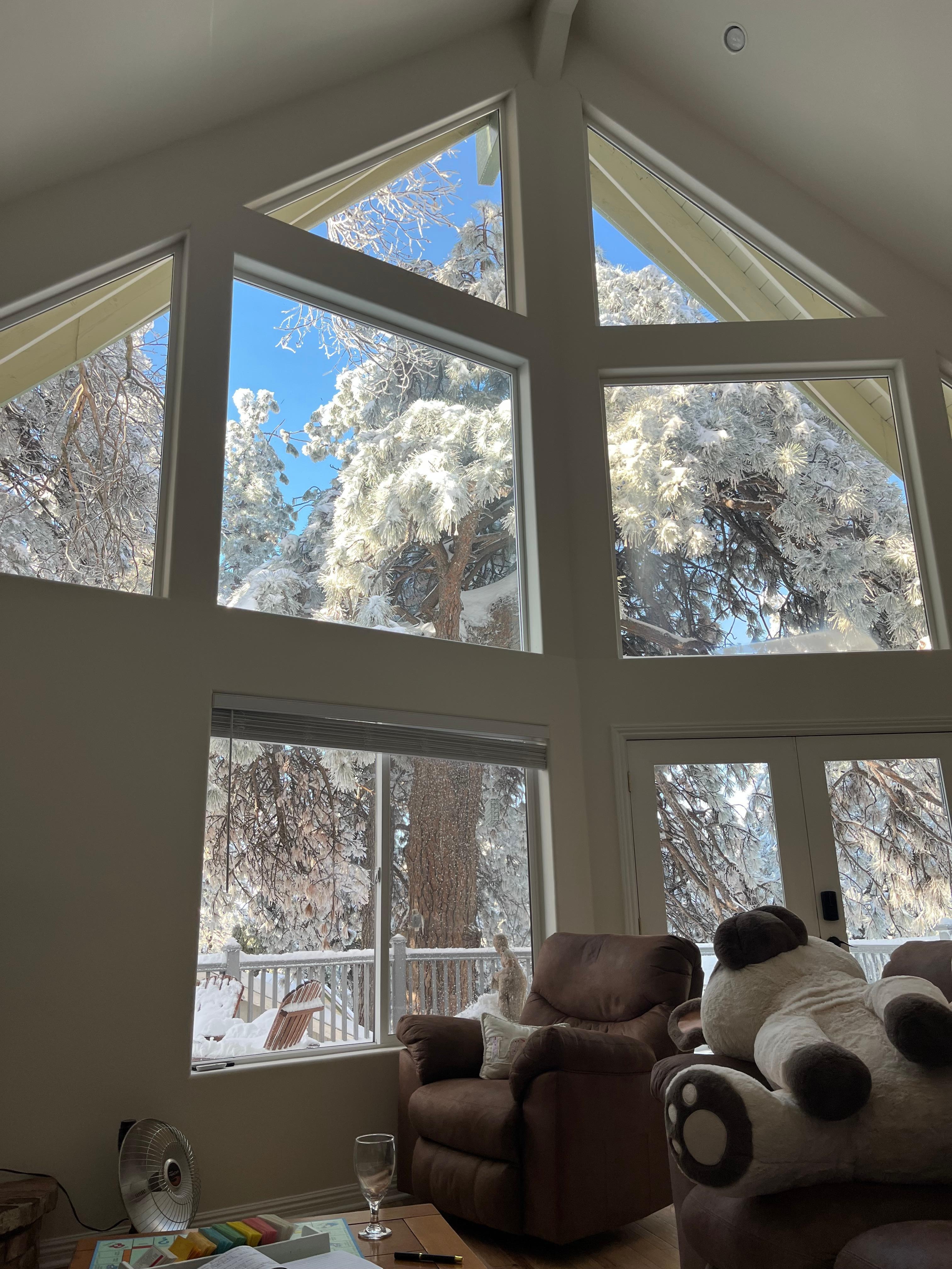 Beautiful view from the living room.  