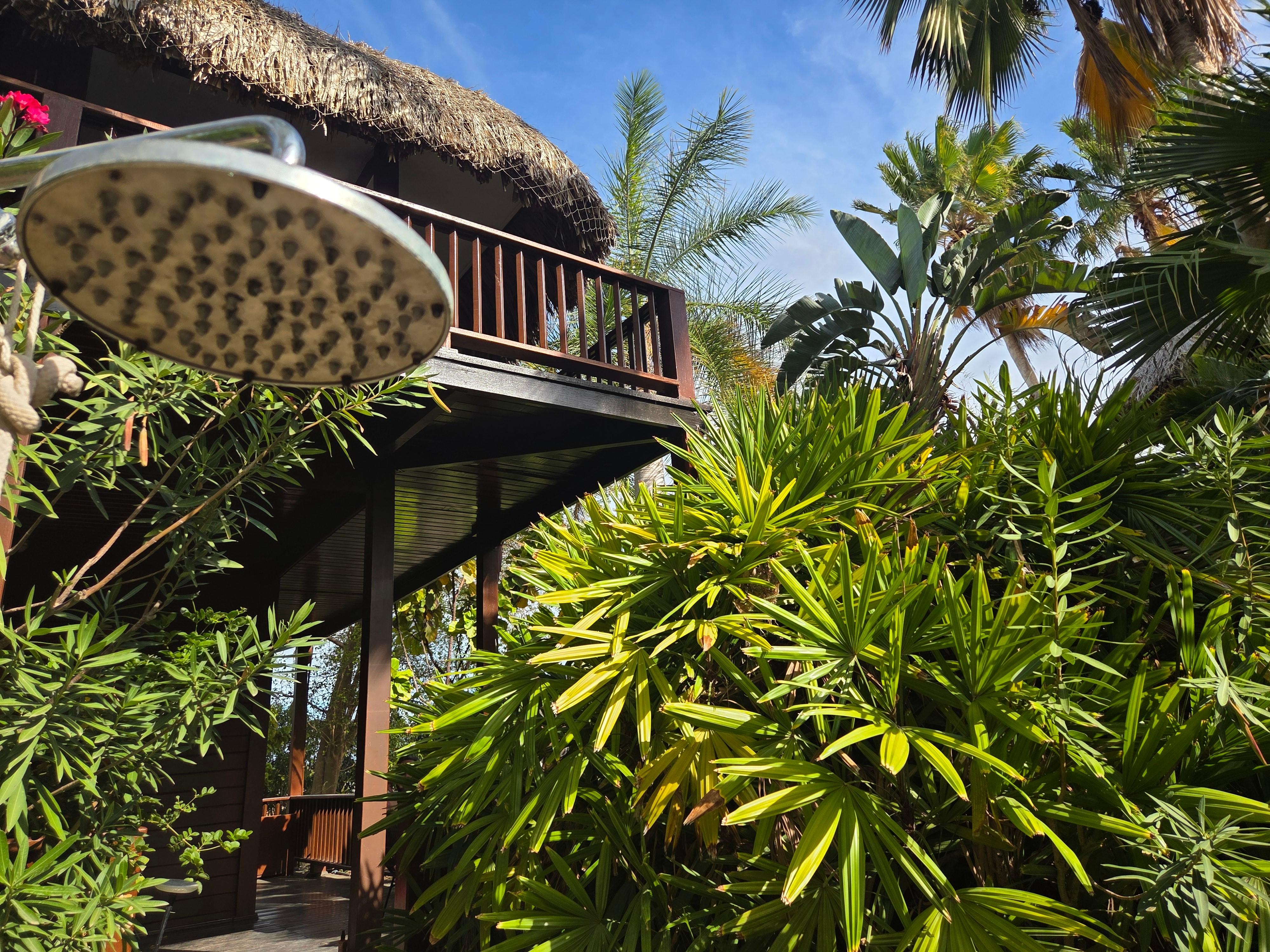 Thatched roofs on beautifully landscaped rooms.