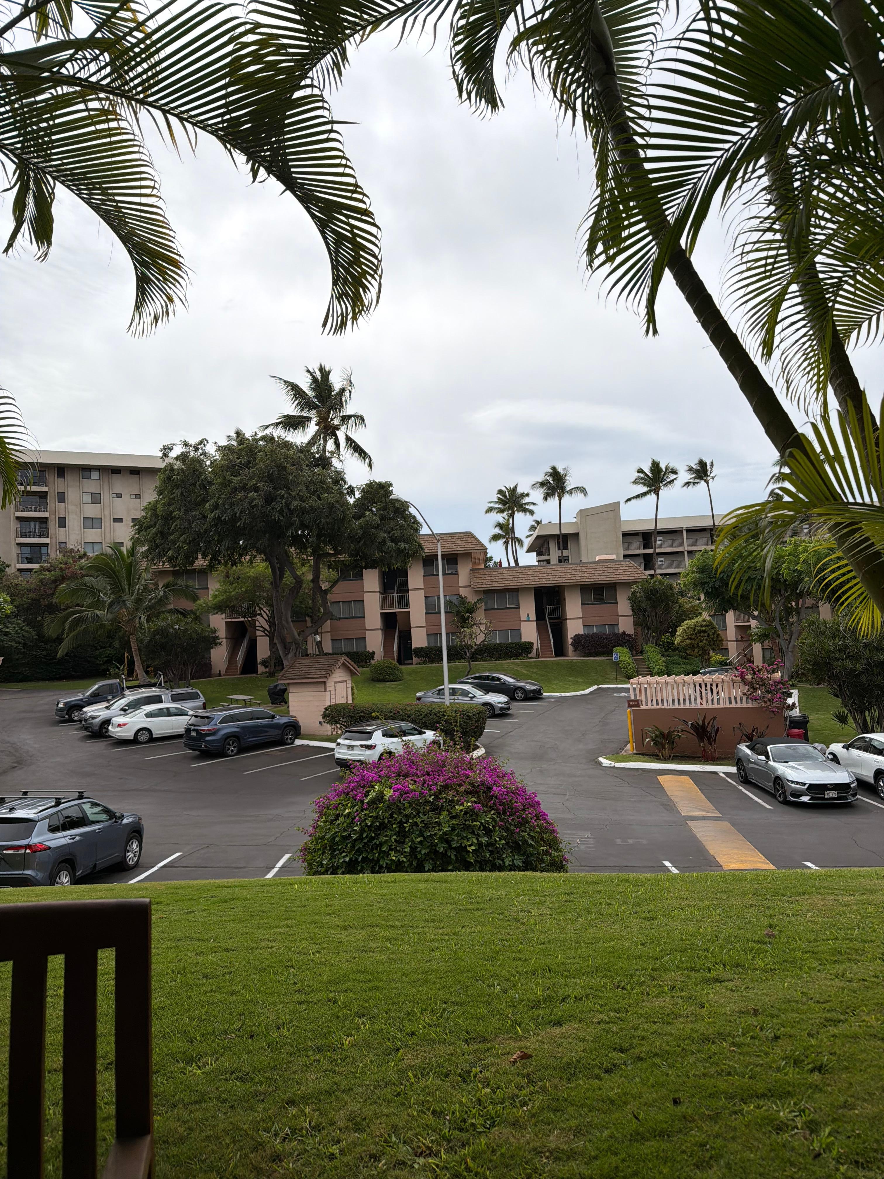 The view from our lanai.