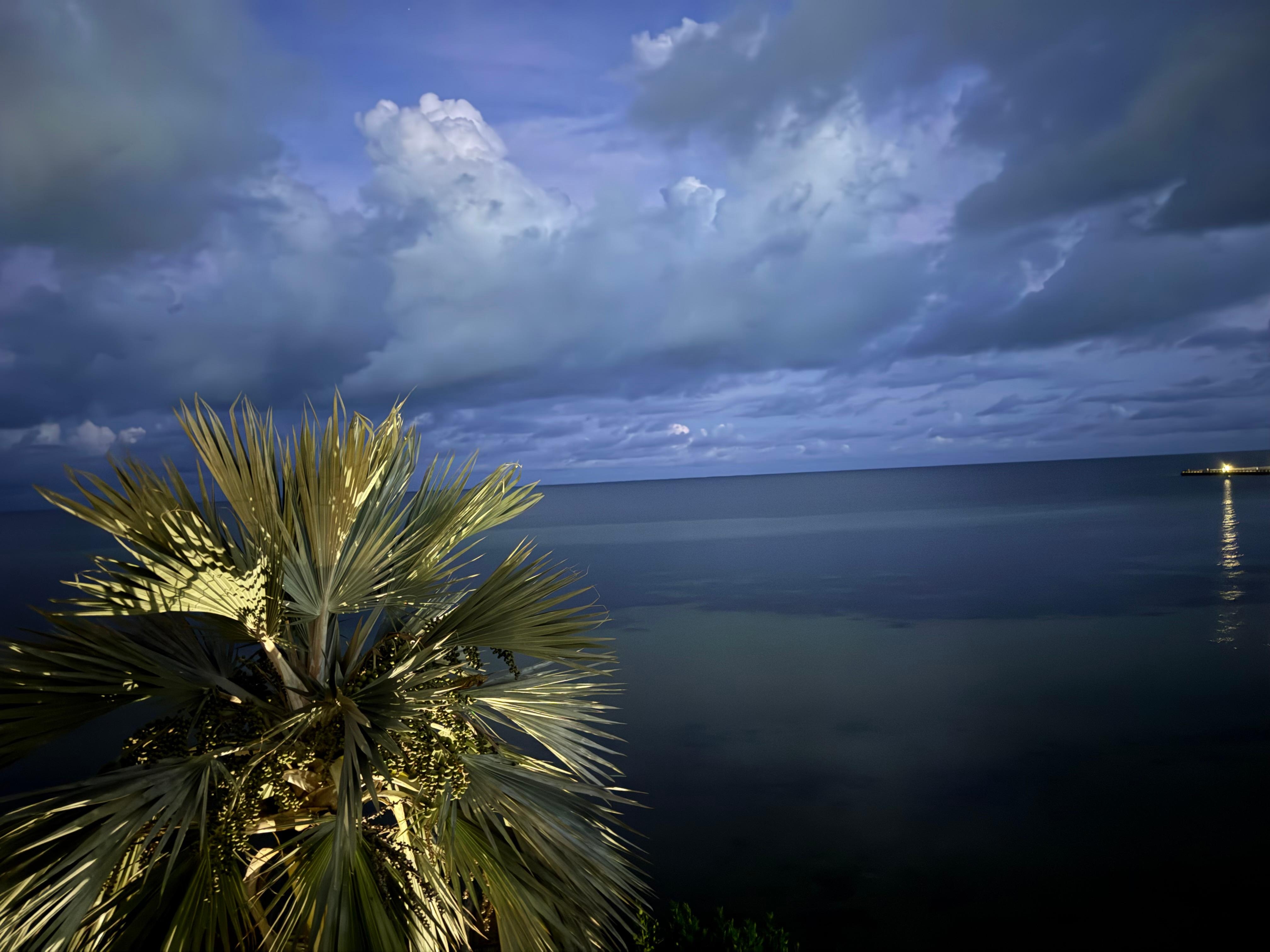 View from the spacious back deck