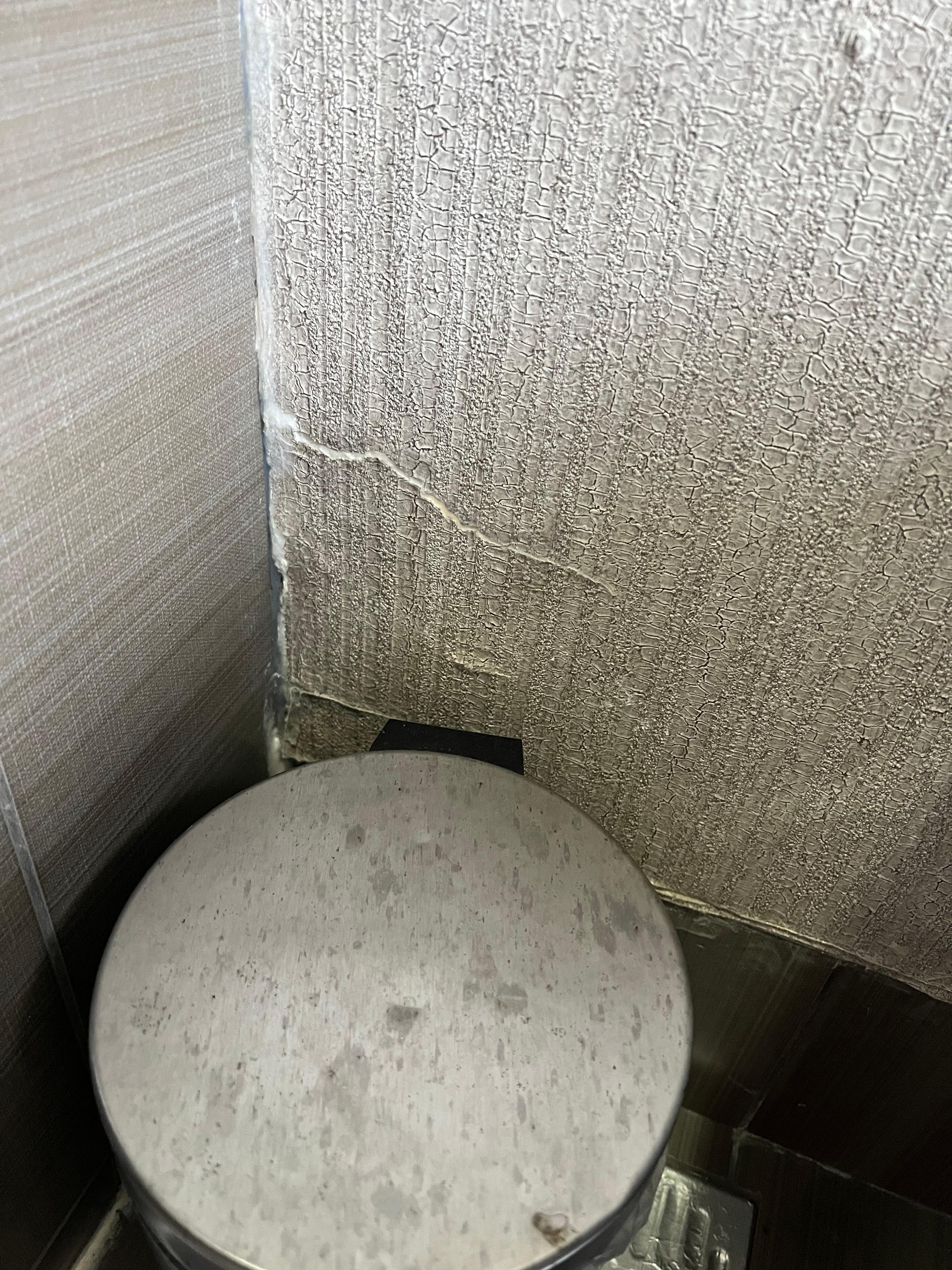 Bathroom wallpaper and dirty trash can