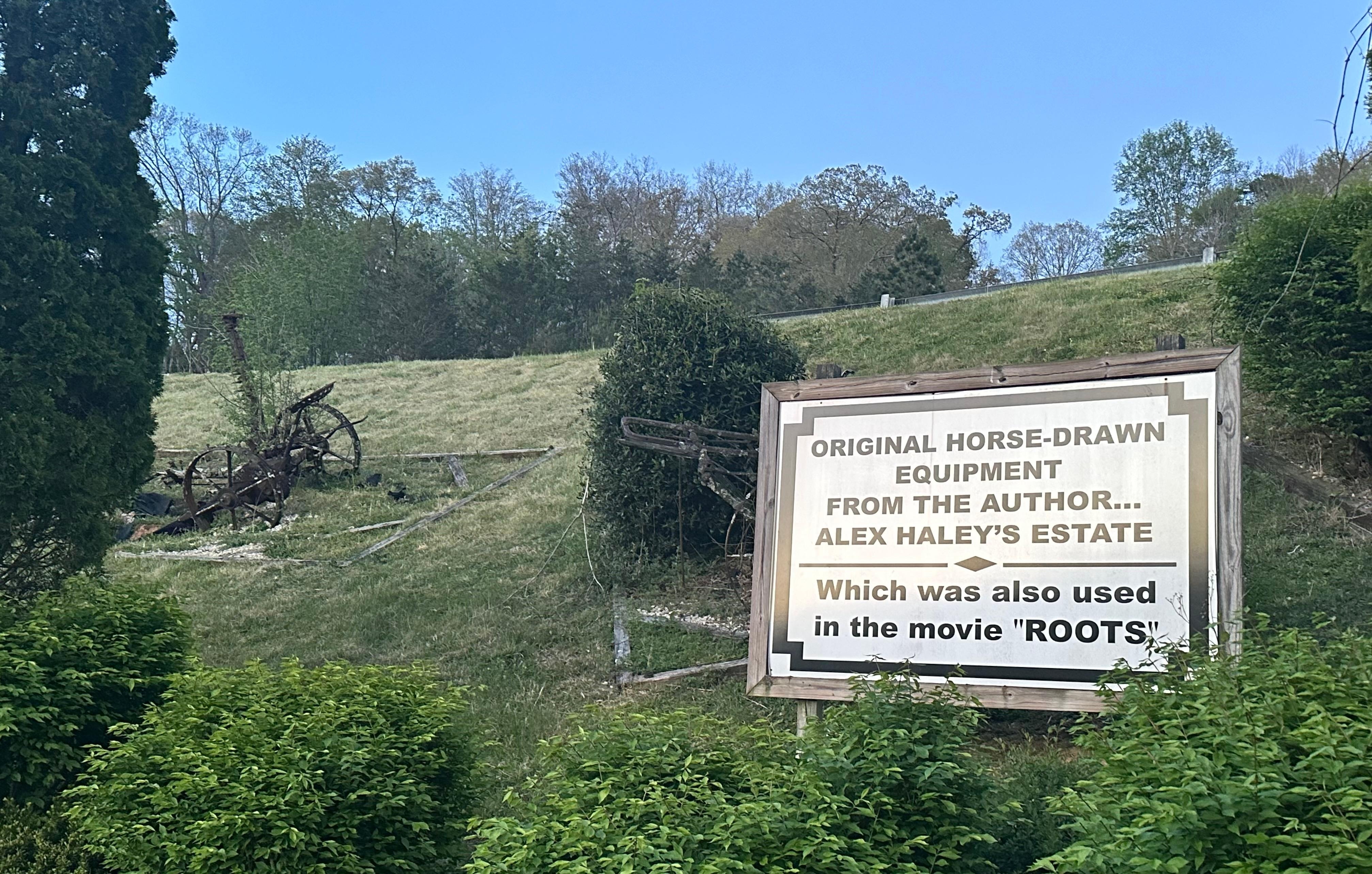 Area of interest along driveway