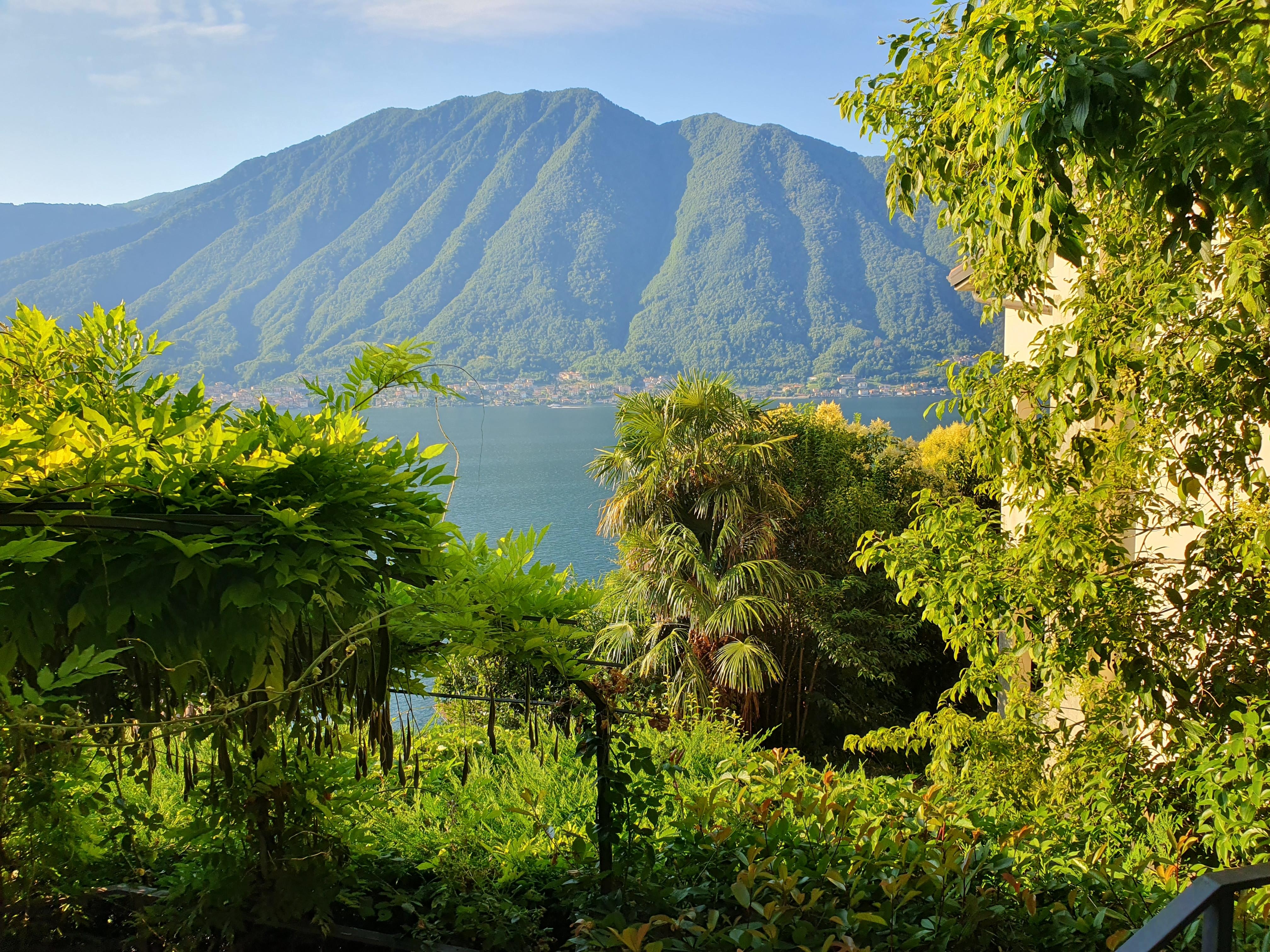 Ausblick von Terrasse