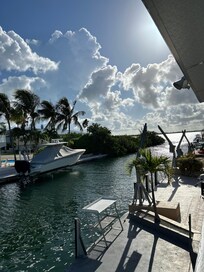 Back patio and canal. You can see fish and lizards back here all times of the day.