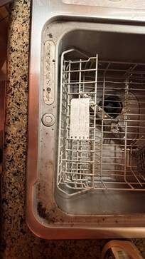 the Dishwasher in the Kitchen