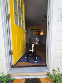 Riley enjoying some fresh air...