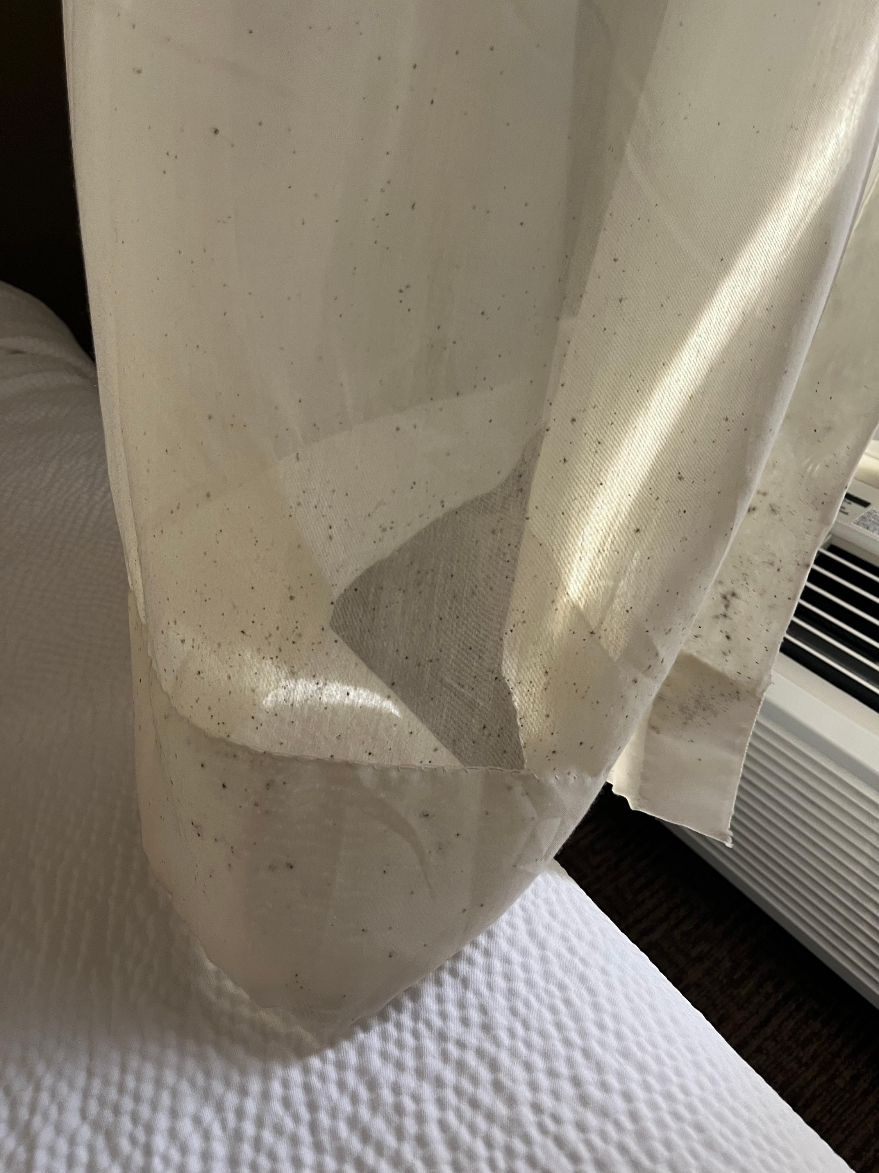 Mold in curtains