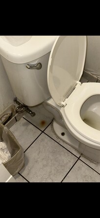 Room 129 Proof of Unsafe and Unsanitary Conditions – Photos Attached