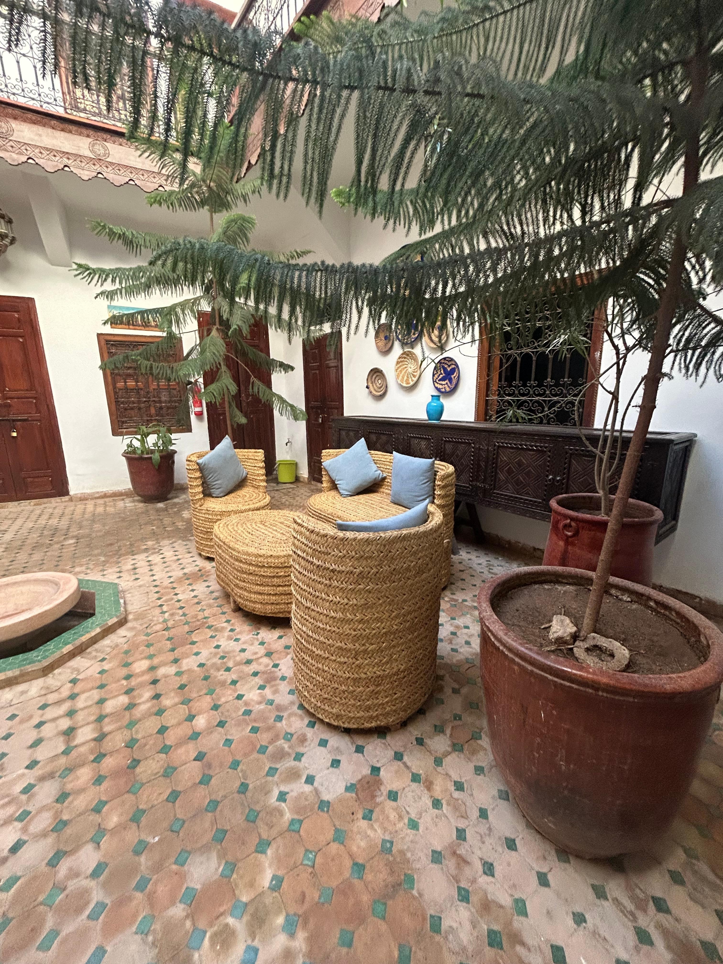 部屋から見た中庭