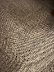 Stains all over floors inside and outside of the room.