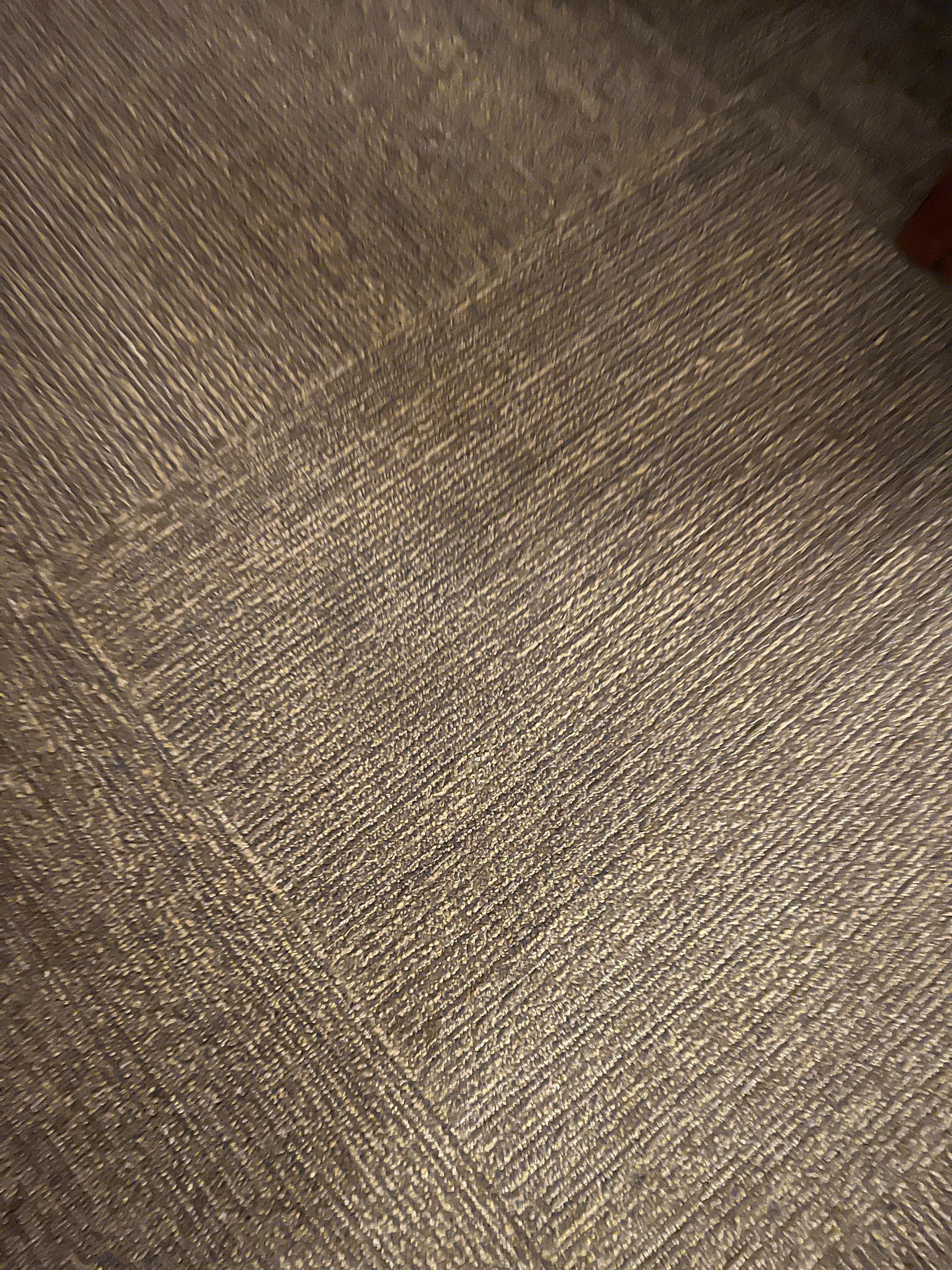 Stains all over floors inside and outside of the room.