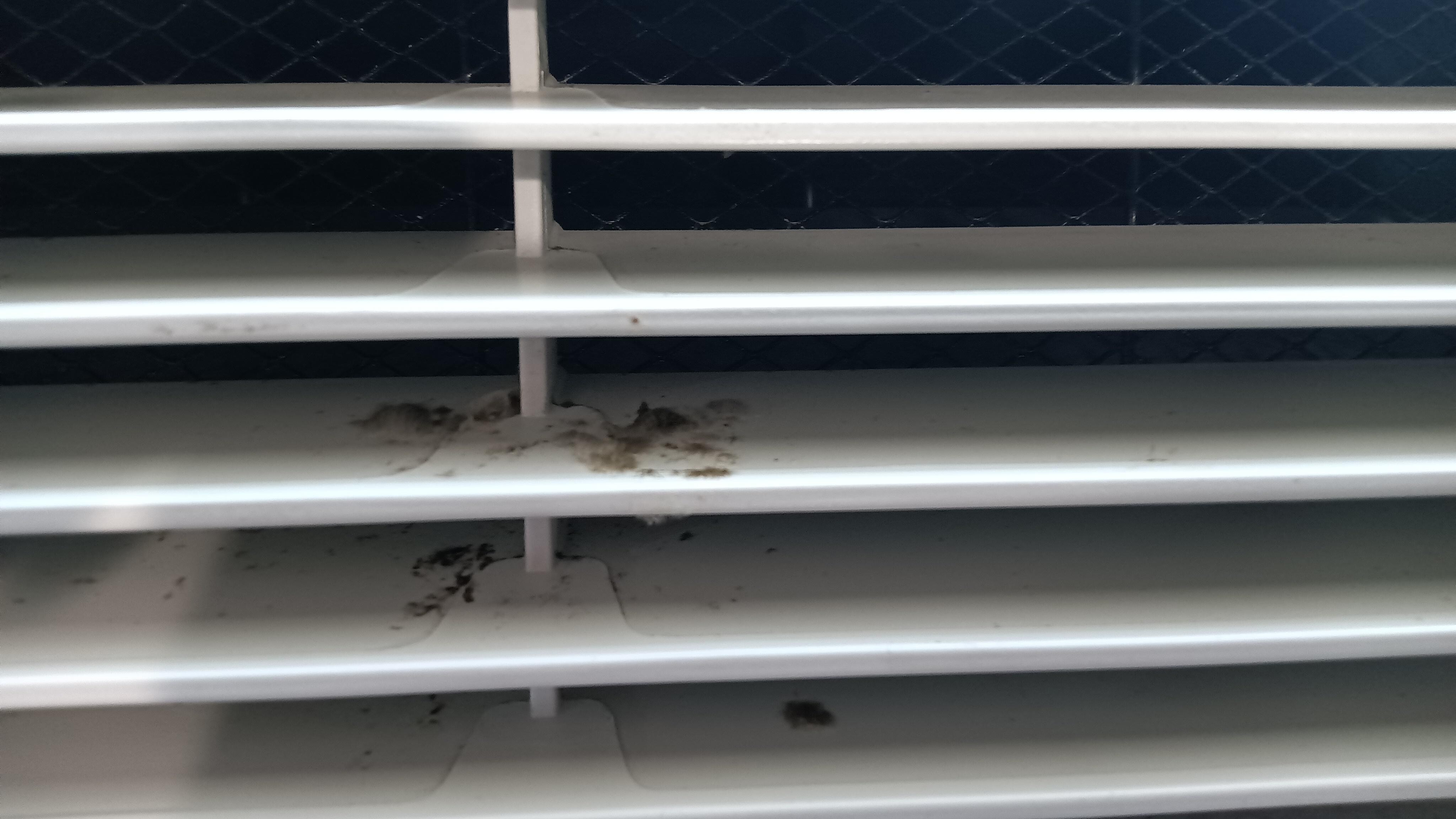 Black mold in heating and air conditioning unit