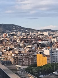 The views