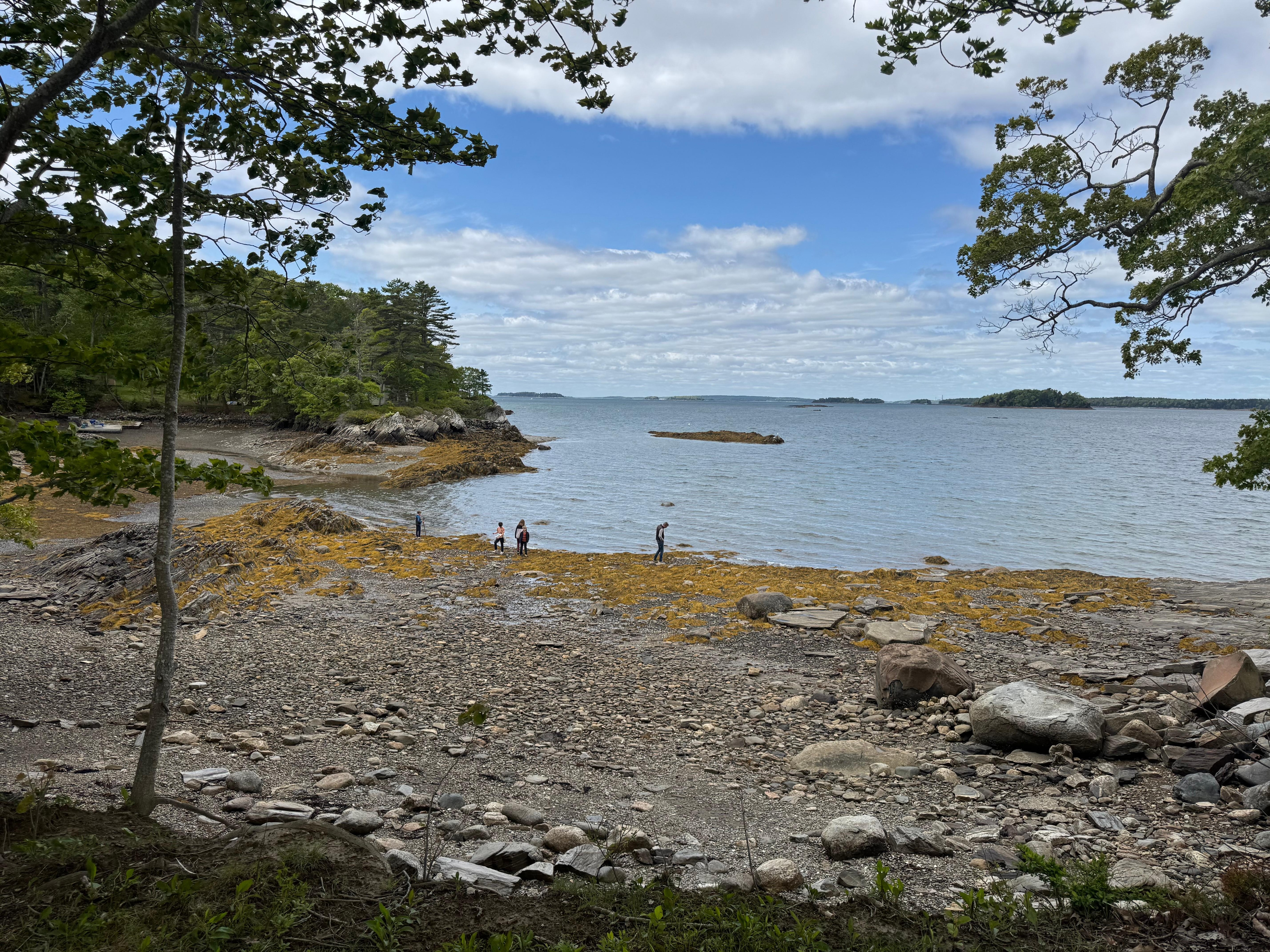 You can spend hour sifting through the interesting rock formations and those that have washed ashone