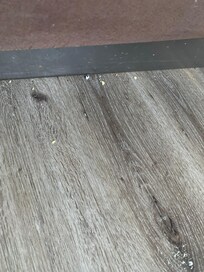 Piled crumbs under bed