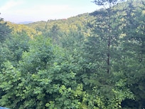 Morning view from back deck.