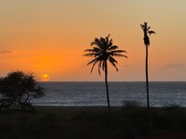 From lanai
