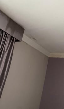 ceiling leaking along with mold possibly