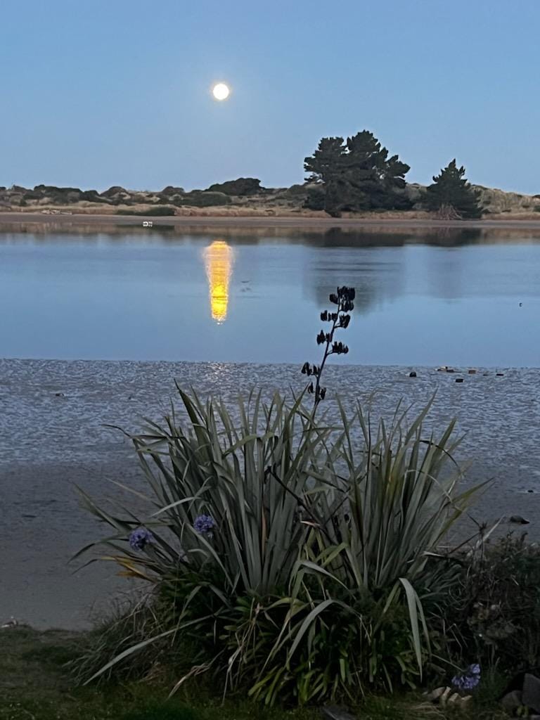 Evening at the pink pipi