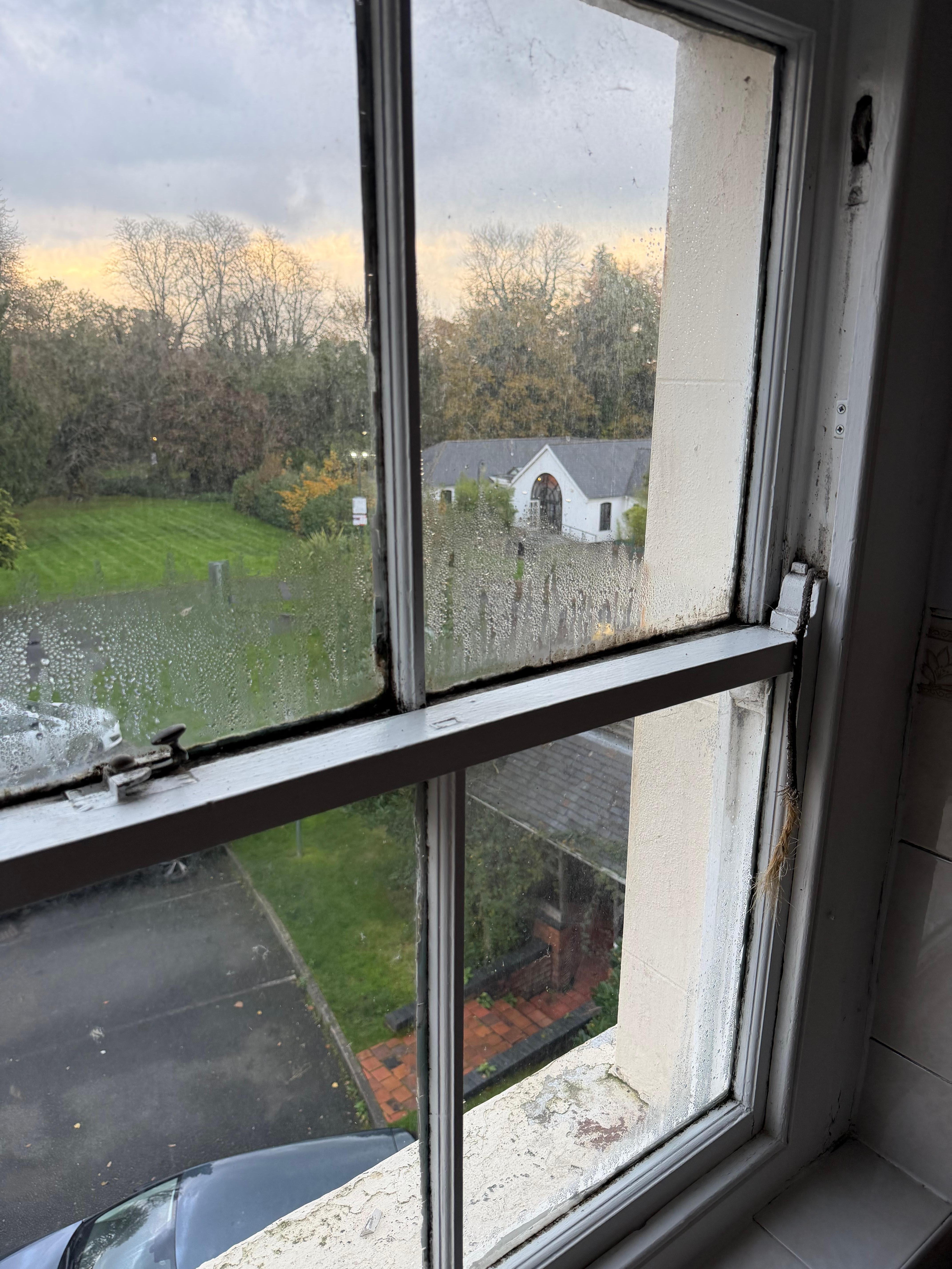 Moody rotten windows