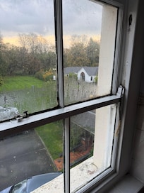 Moody rotten windows