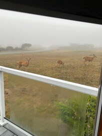 Although foggy in the morning it cleared up beautifully.