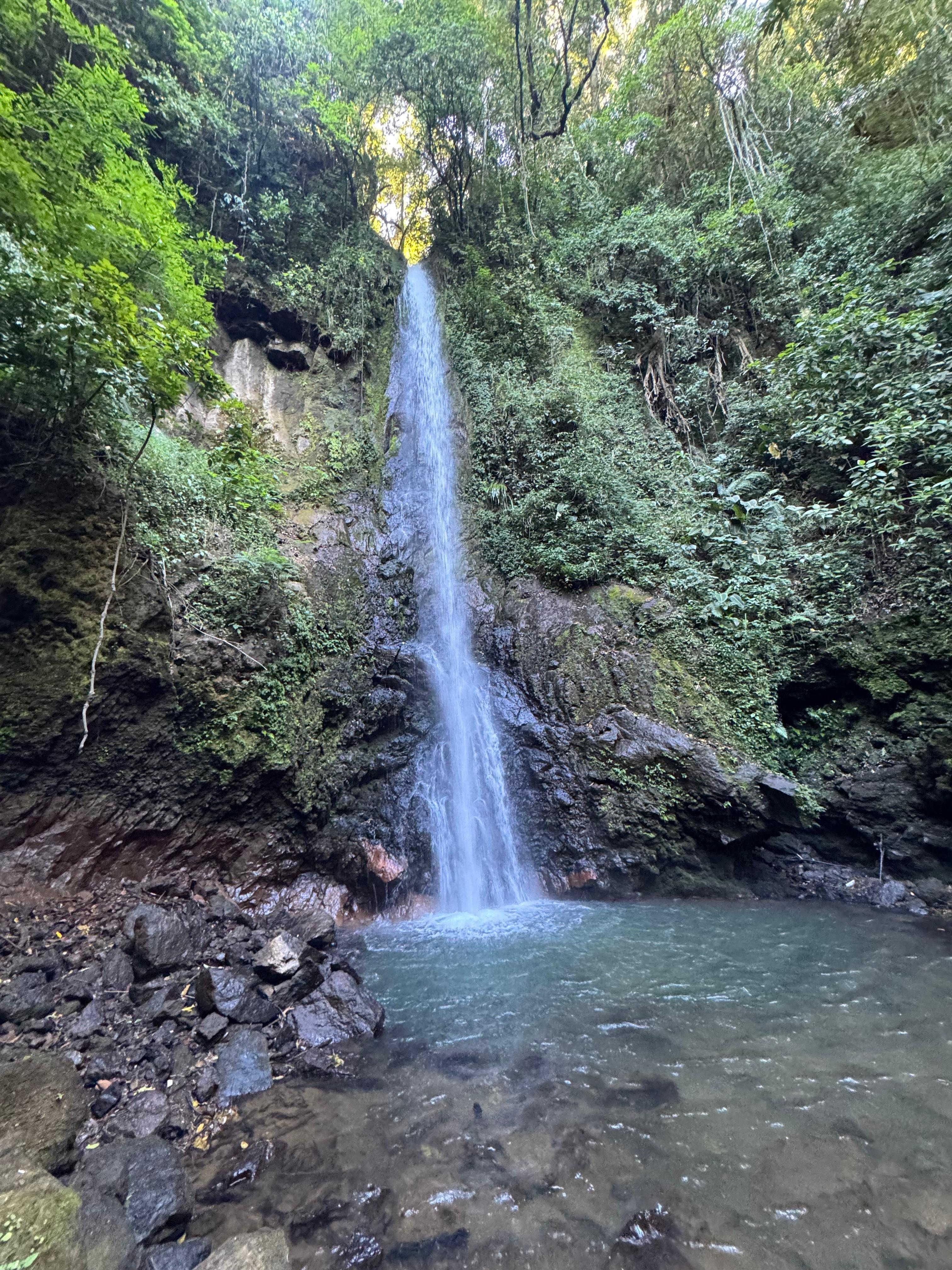 One of 5 waterfalls on site. Great hiking!