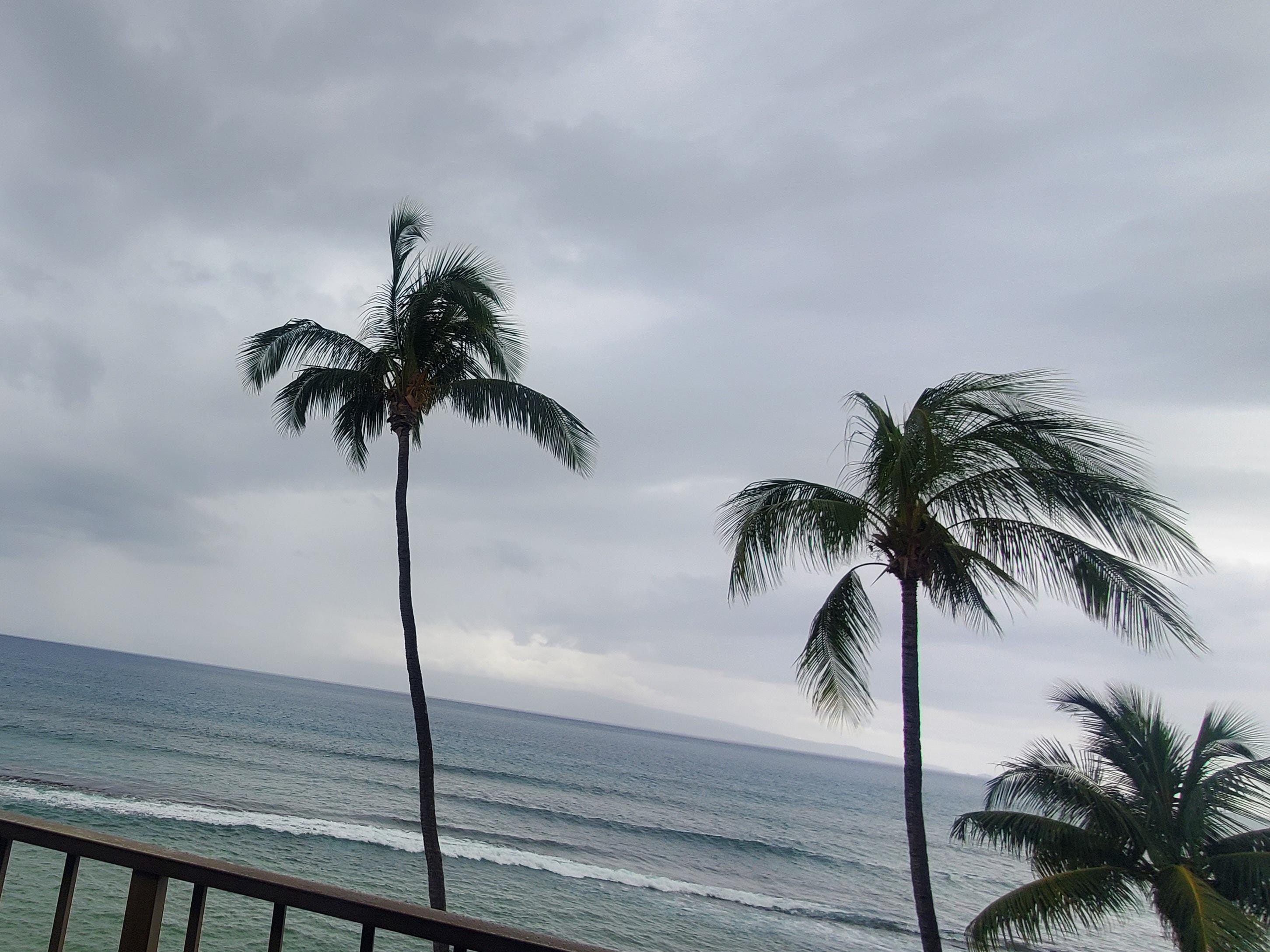 From the balcony :)