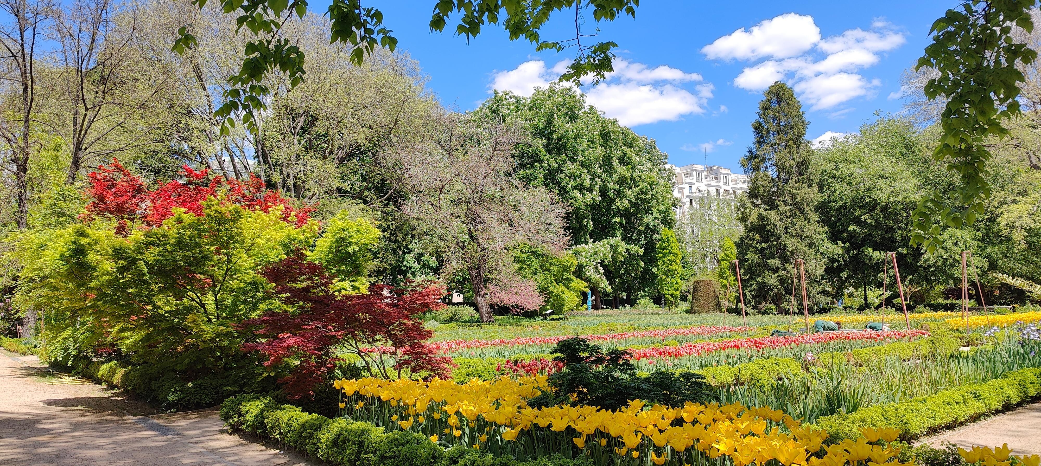 Le parc botanique à proximité de l'hôtel au bout du Parc du Retiro et à côté du Musée del Prado