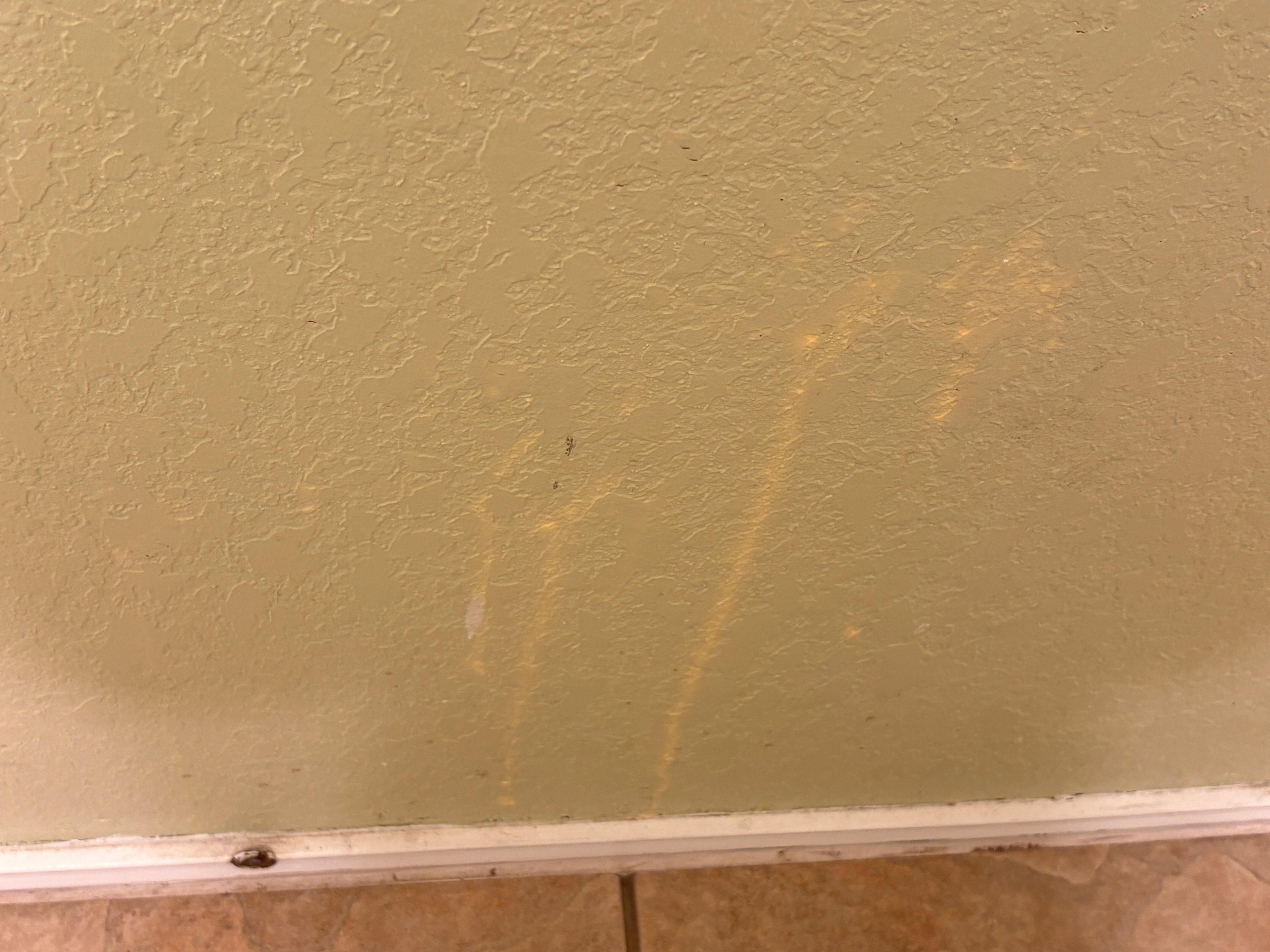 One example of the how filthy and stained the walls are.